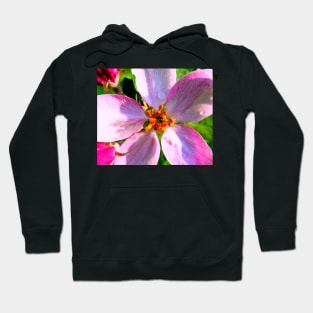 Crabapple Blossoms Photo Print Hoodie